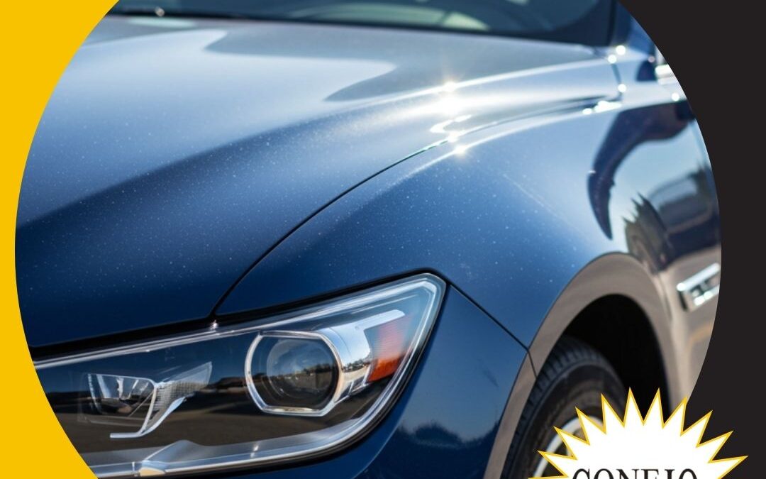 Seasonal Auto Detail Tips to Protect Your Vehicle